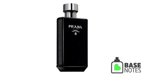 prada cologne basenotes